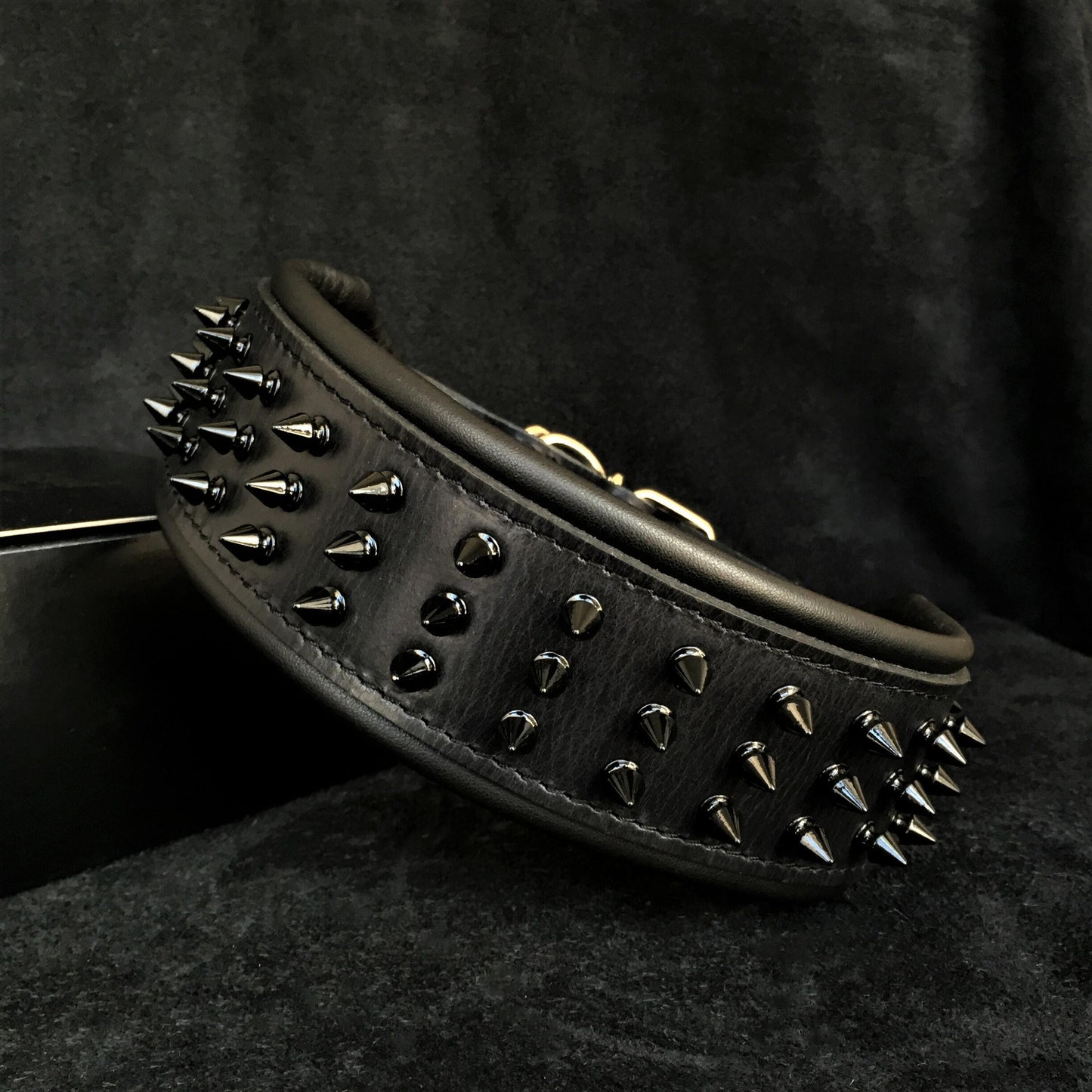 ''Black Giant'' collar - Tampa Home & Garden Store
