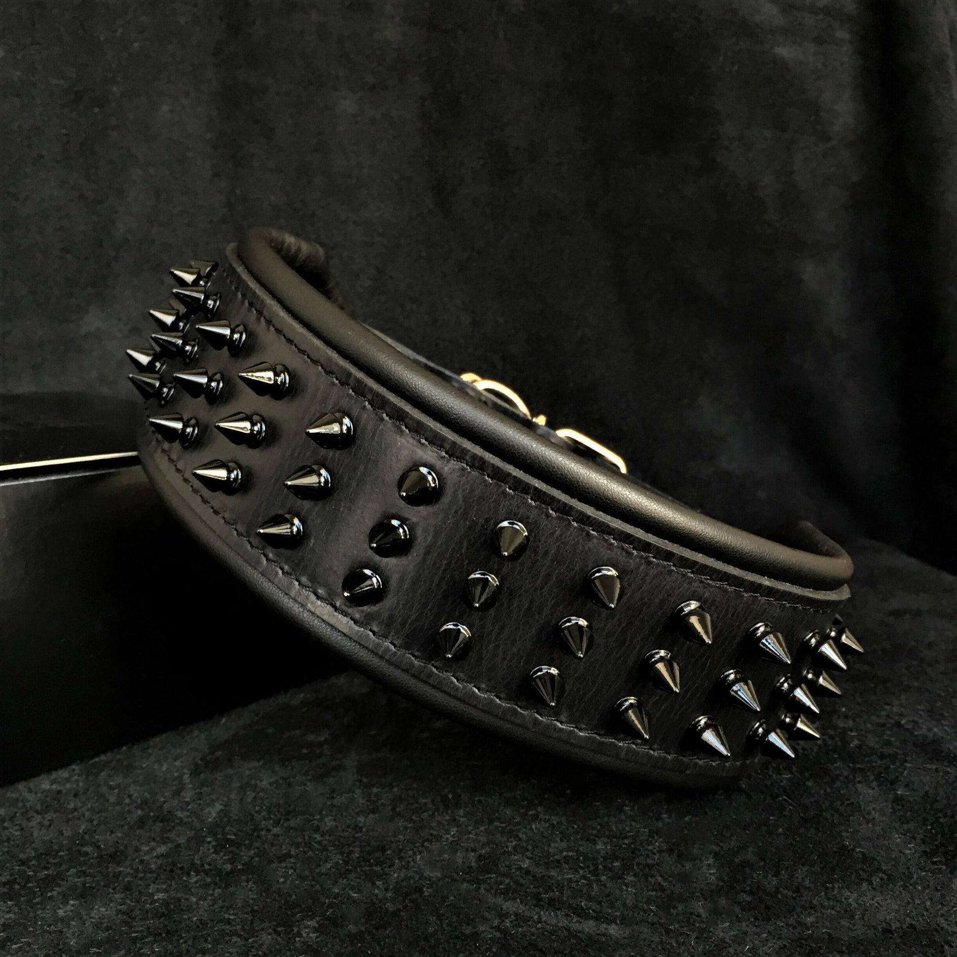 ''Black Giant'' collar - Tampa Home & Garden Store