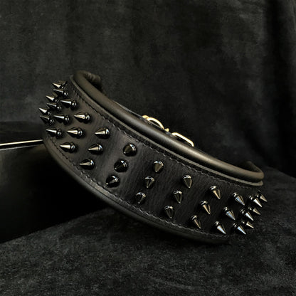 ''Black Giant'' collar - Tampa Home & Garden Store