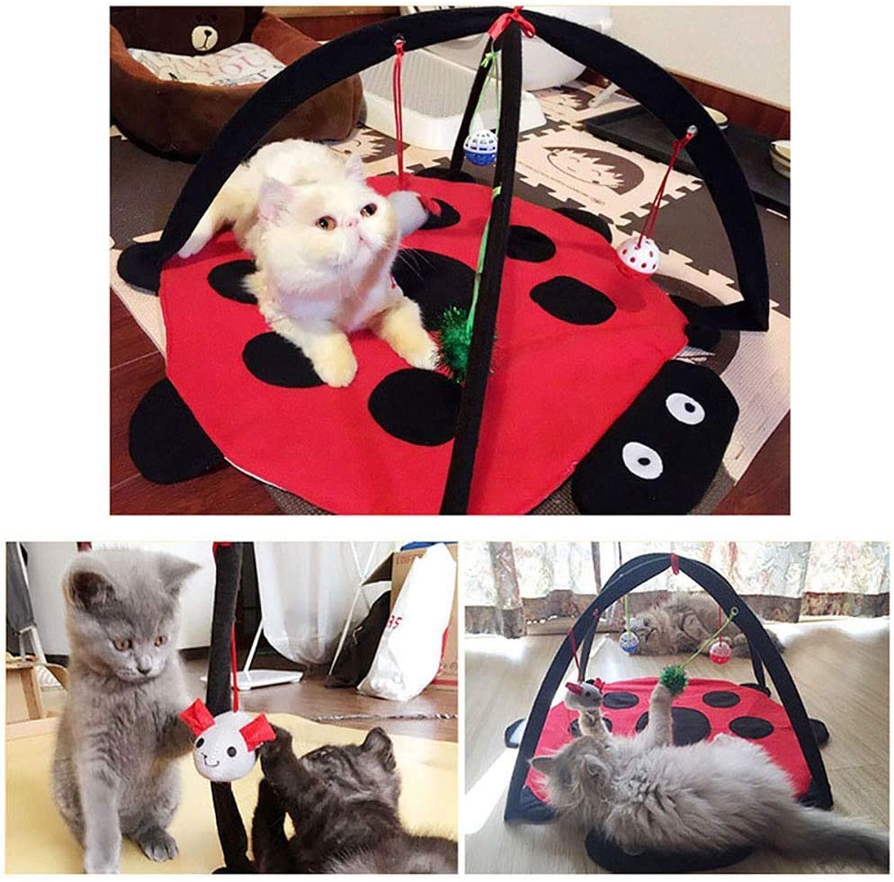 Black Ladybug Cat Play Mat - Tampa Home & Garden Store