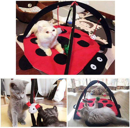 Black Ladybug Cat Play Mat - Tampa Home & Garden Store
