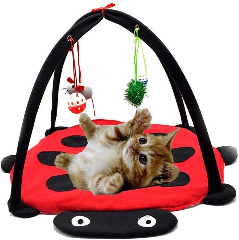 Black Ladybug Cat Play Mat - Tampa Home & Garden Store