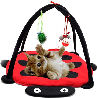 Black Ladybug Cat Play Mat - Tampa Home & Garden Store