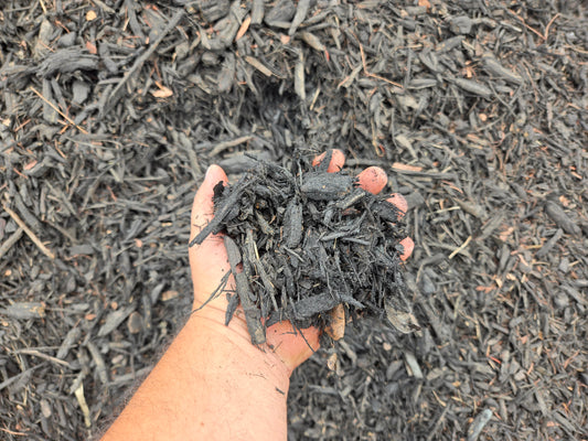 Bulk Black mulch sold online, shown close up in my hand