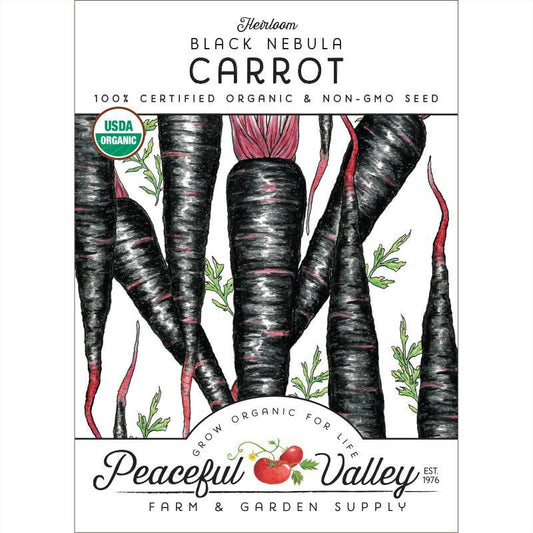 Black Nebula Carrot Seeds (Organic) - Tampa Home & Garden Store