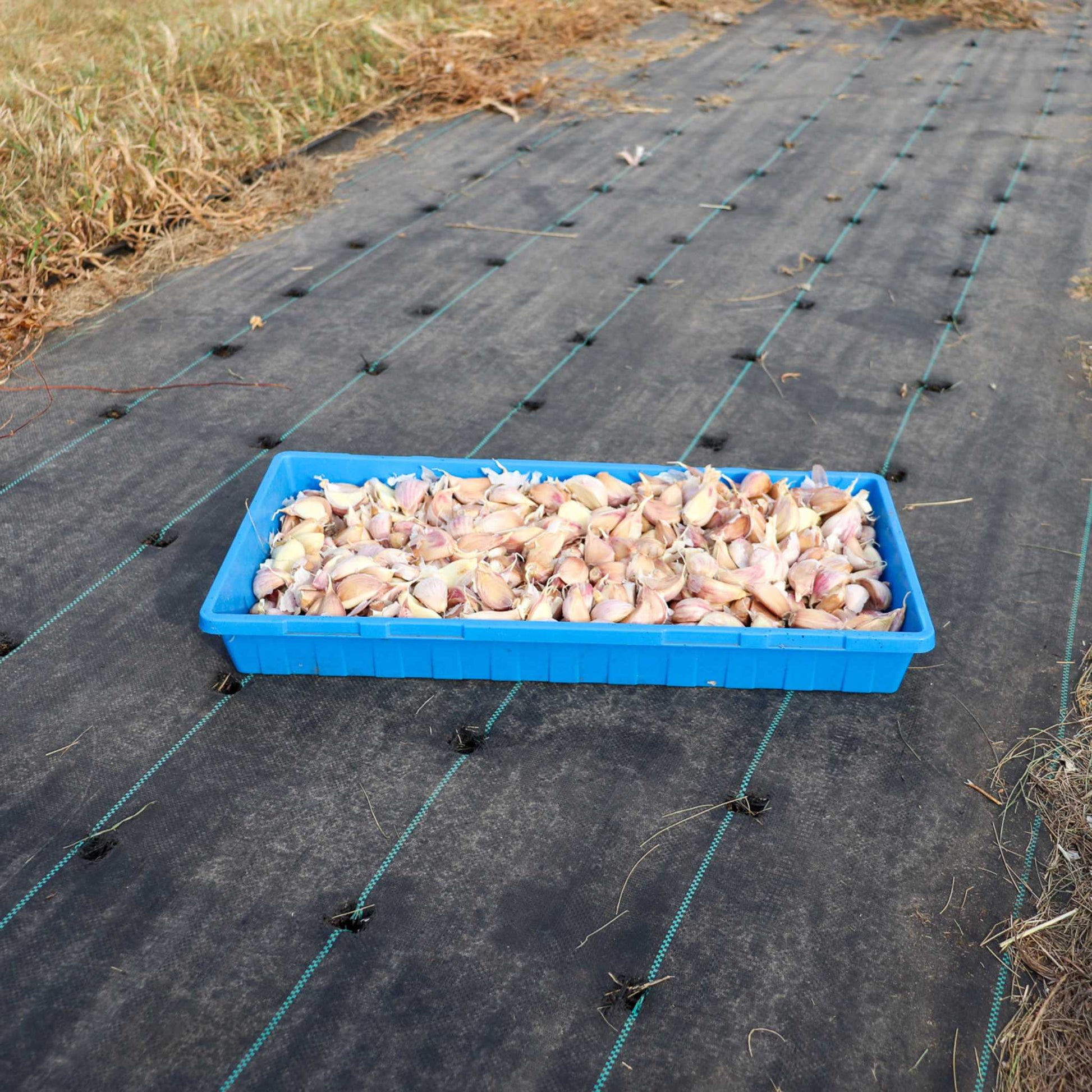 Black Plastic Weed Barrier Delivery | Landscape Fabric Heavy Duty - Tampa Home & Garden Store