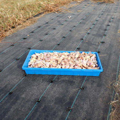 Black Plastic Weed Barrier Delivery | Landscape Fabric Heavy Duty - Tampa Home & Garden Store