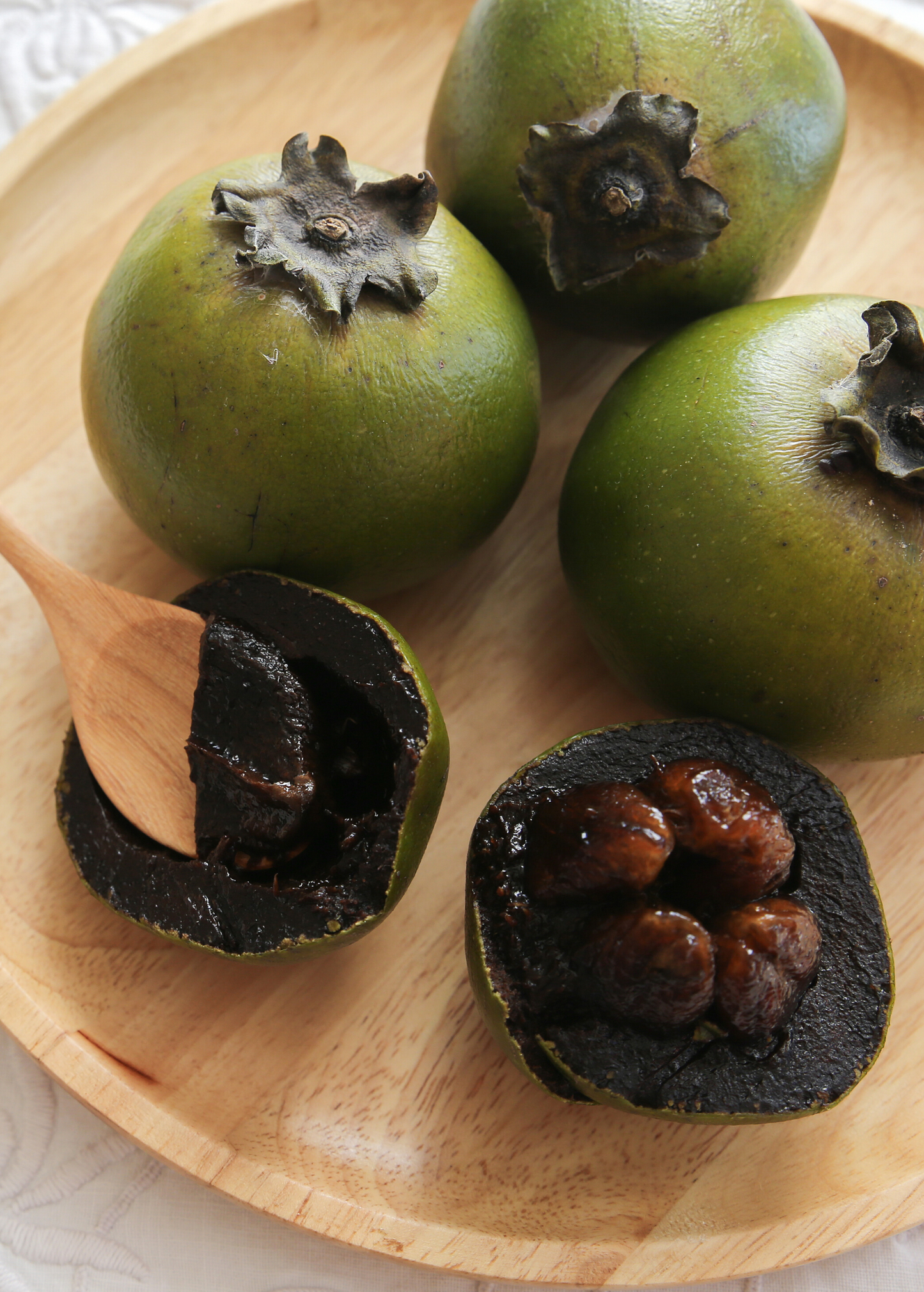Black Sapote, Seedling (Diospyros nigra) - Tampa Home & Garden Store