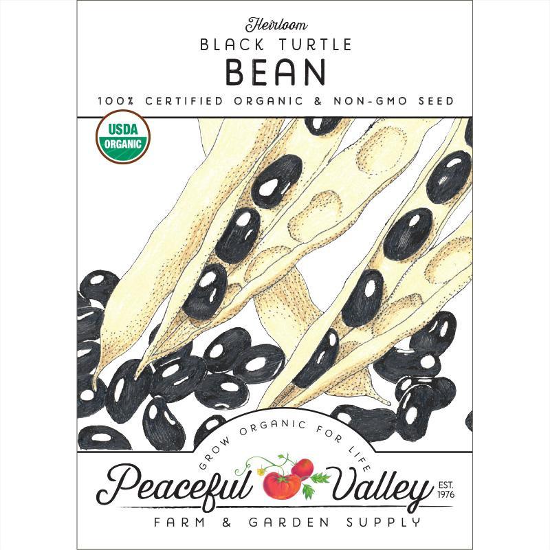 Black Turtle Bush Bean Seeds (Organic) - Tampa Home & Garden Store