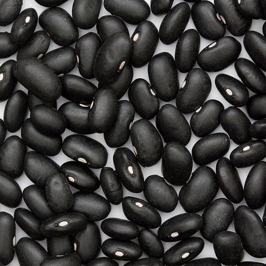 Black Turtle Bush Bean Seeds (Organic) - Tampa Home & Garden Store