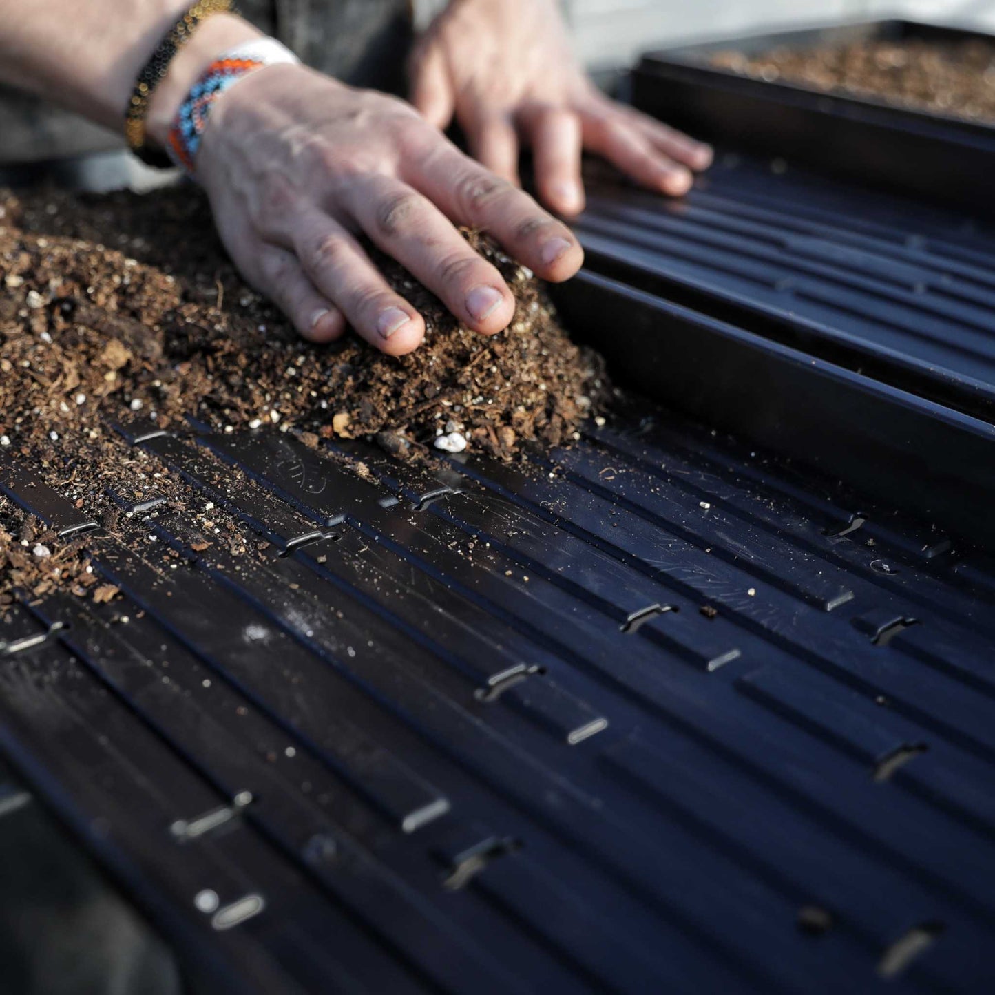 1020 Microgreen Trays - Shallow Extra Strength - Tampa soil911.com