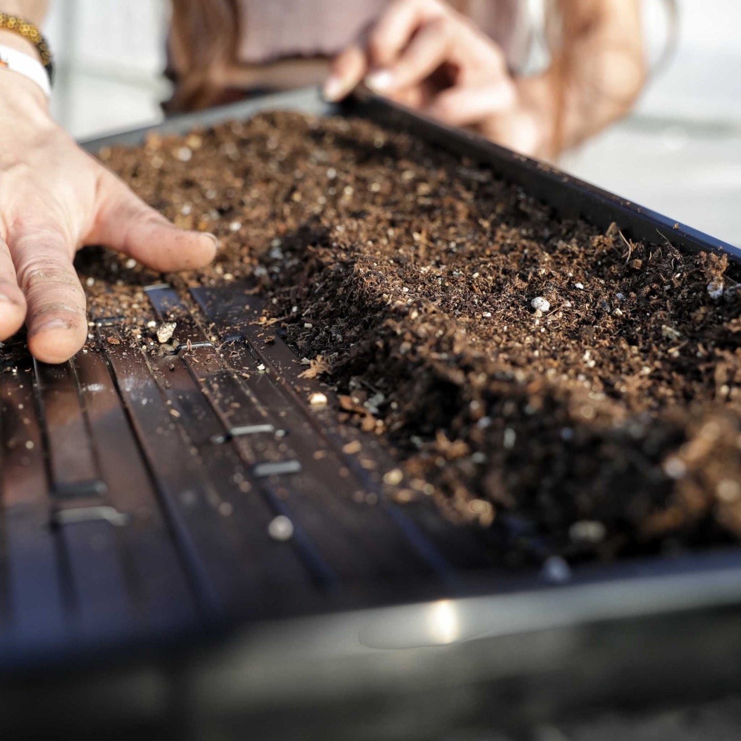 1020 Microgreen Trays - Shallow Extra Strength - Tampa soil911.com