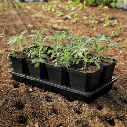 Pots de démarrage de graines robustes de 5 po