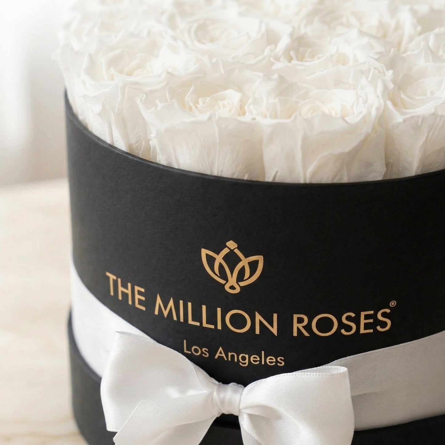 Classic Black Box White Roses from The Million Roses, dried flowers in a black box on Tampa Home & Garden Store