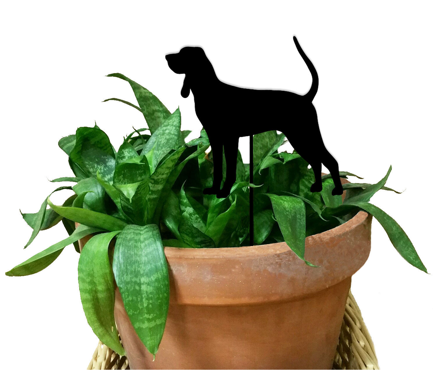 Black and Tan Coonhound plant stake with silhouette atop a green snake plant in a terracotta pot on Tampa Home & Garden Store