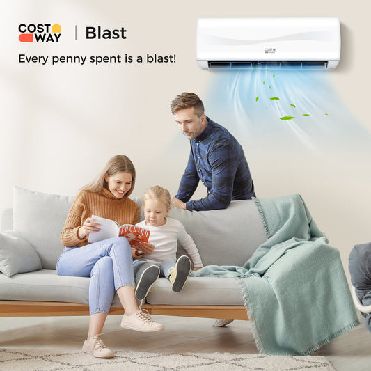 Blast Series 12000 BTU 17 SEER2 208-230V Ductless Mini Split Air Conditioner and Heater - Tampa Home & Garden Store