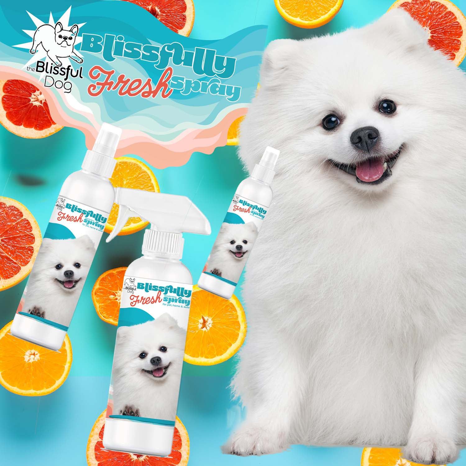 Blissfully Fresh™ Deodorizing Spray - Tampa Home & Garden Store