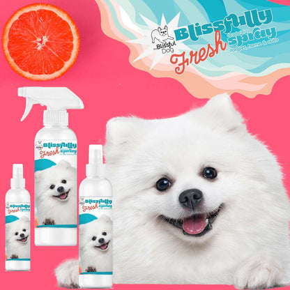 Blissfully Fresh™ Deodorizing Spray - Tampa Home & Garden Store