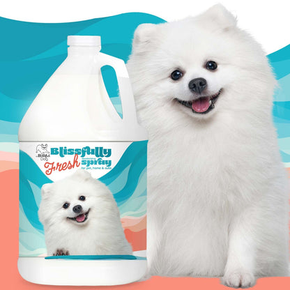 Blissfully Fresh™ Deodorizing Spray - Tampa Home & Garden Store