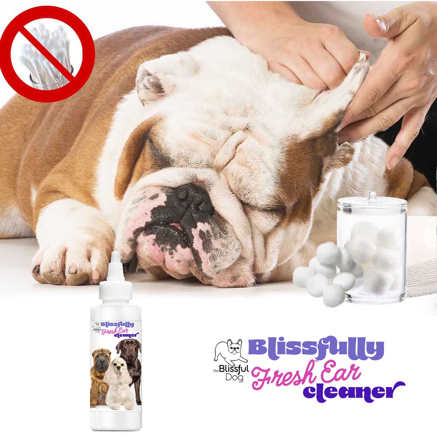Blissfully Fresh™ Dog Ear Cleaner - Tampa Home & Garden Store