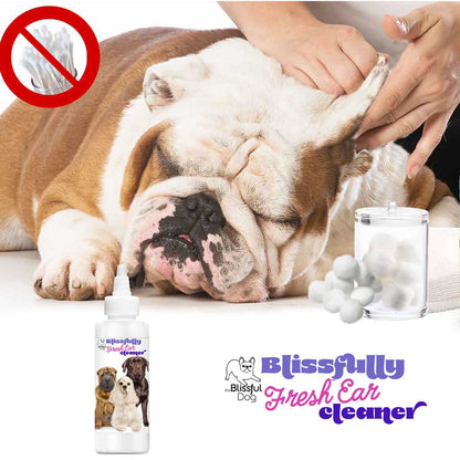 Blissfully Fresh™ Dog Ear Cleaner - Tampa Home & Garden Store