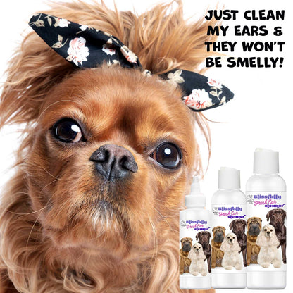 Blissfully Fresh™ Dog Ear Cleaner - Tampa Home & Garden Store