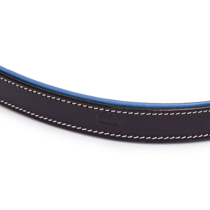 Blossom Leather Dog Leash by Halter Ego, dark brown leather with blue edge on Tampa Home & Garden Store