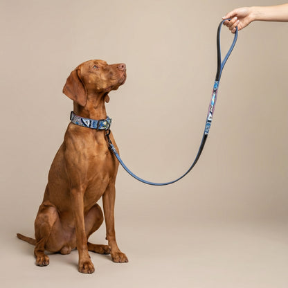 The Blossom Leather Dog Leash by Halter Ego, blue leather with patterned handle on Tampa Home & Garden Store