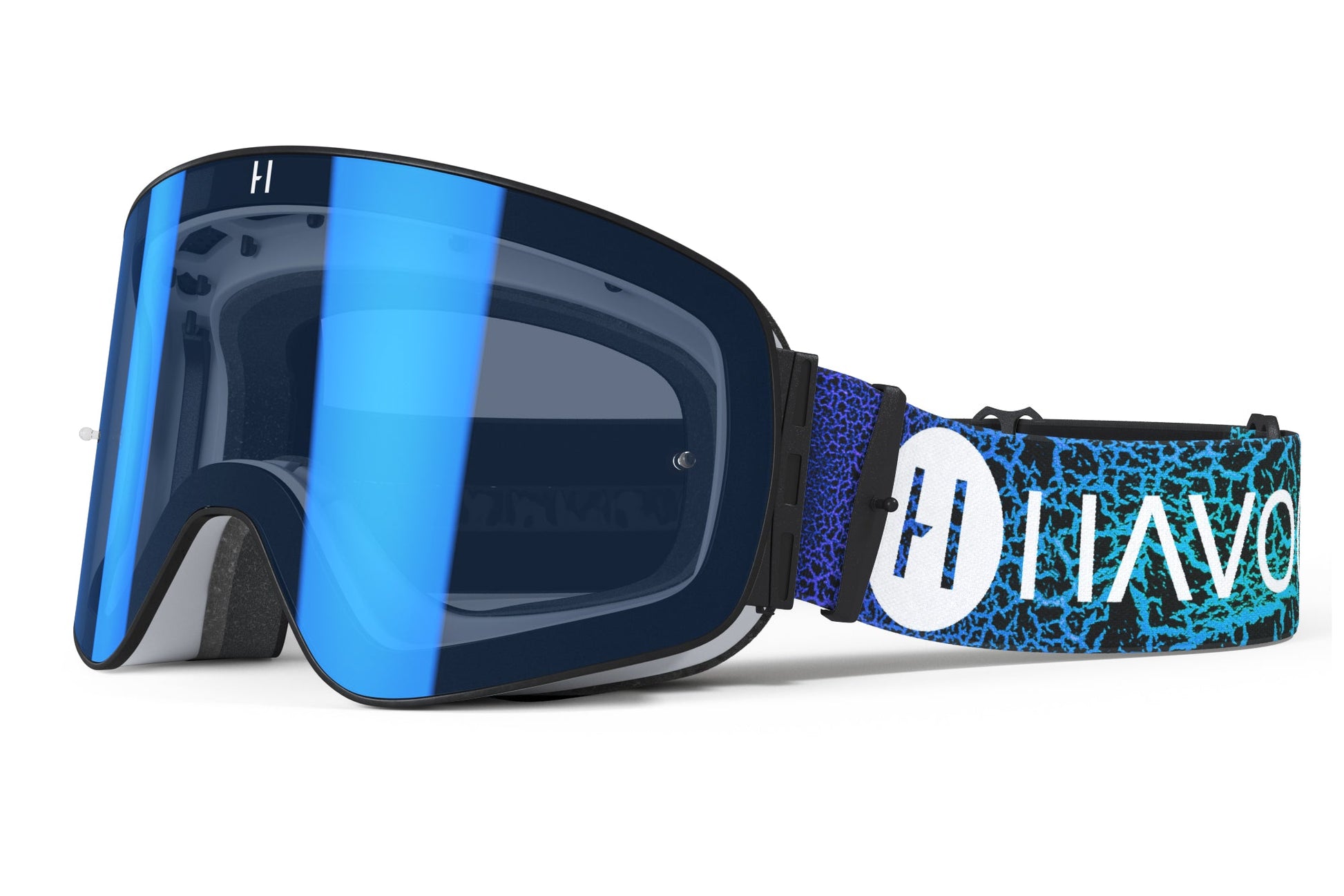 Blue Dragon MJK - Tampa Home & Garden Store