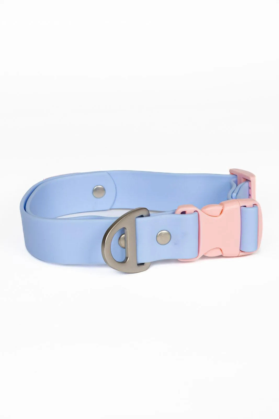 Blue Sky Orchid Waterproof Dog Collar - Tampa Home & Garden Store