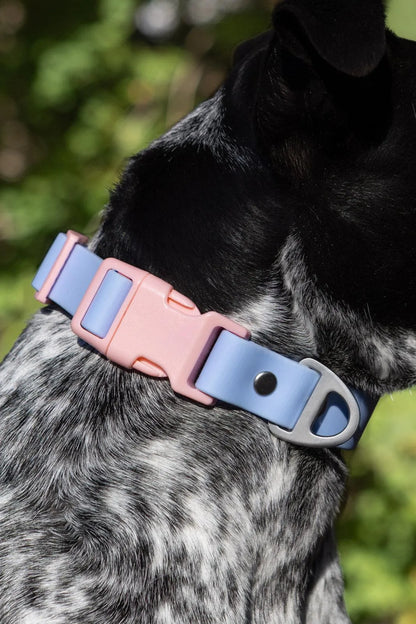 Blue Sky Orchid Waterproof Dog Collar - Tampa Home & Garden Store