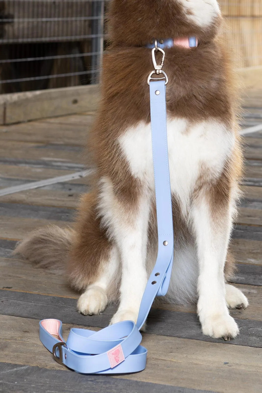 Blue Sky Orchid Waterproof Leash - Tampa Home & Garden Store