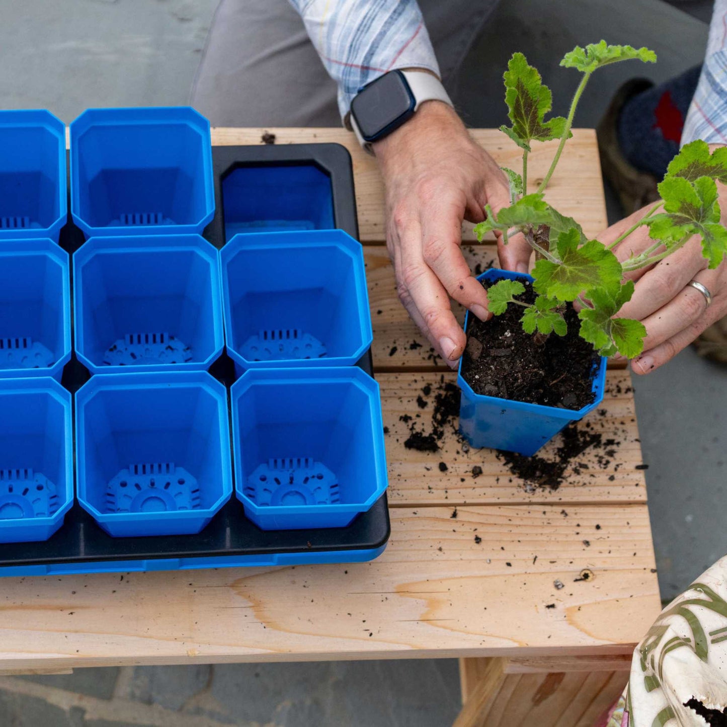 3.3" Heavy Duty Seed Starting Pots with Inserts