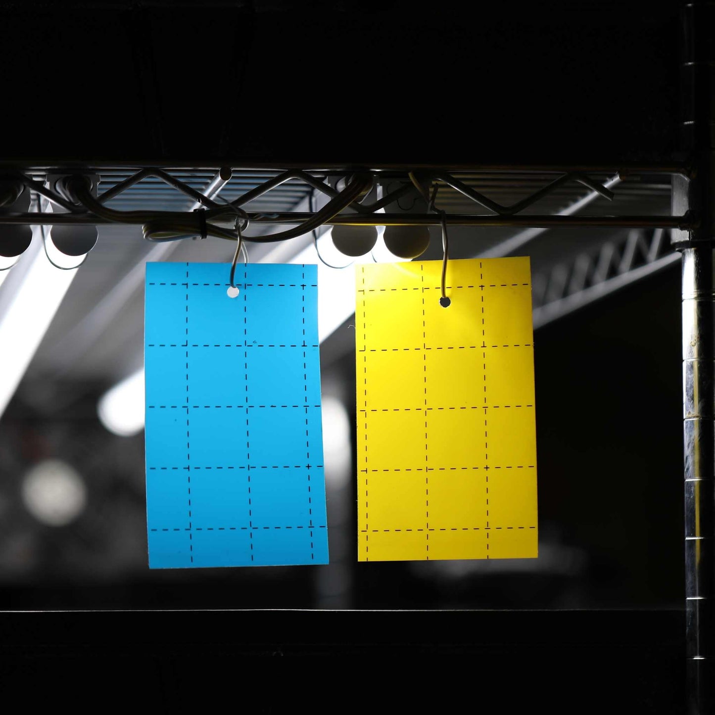 Pest Control Sticky Trap Cards