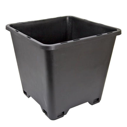 Blueberry Pot (12" sq) - Tampa Home & Garden Store