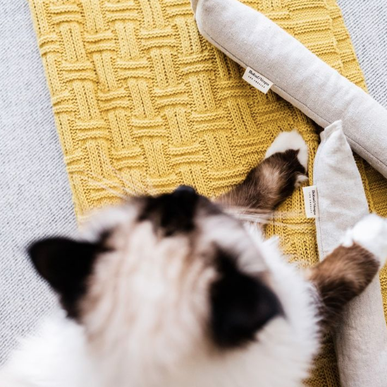 Boba & Vespa Cat Kicker Toy for Bunny Kicks  - DOGS love it too! - Tampa Home & Garden Store