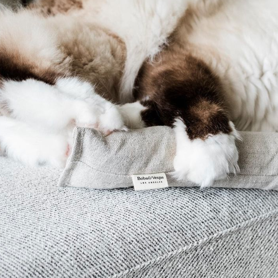 Boba & Vespa Cat Kicker Toy for Bunny Kicks  - DOGS love it too! - Tampa Home & Garden Store