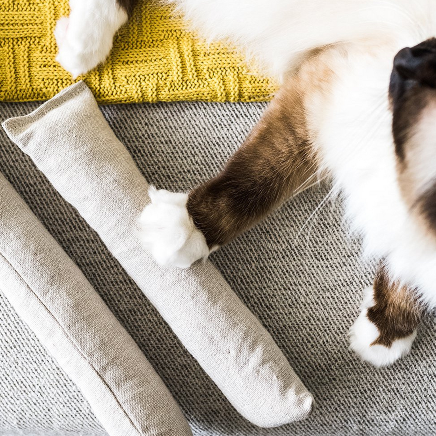 Boba & Vespa Cat Kicker Toy for Bunny Kicks  - DOGS love it too! - Tampa Home & Garden Store