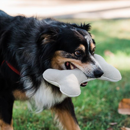 Boba & Vespa Plush Hemp Dog Bone Toy for Gentle Chewers | Soft & Squeaker Free - Tampa Home & Garden Store