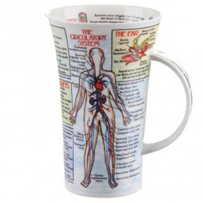 Body Works Fine Bone China Mug Glencoe Style By Dunoon - Tampa Home & Garden Store