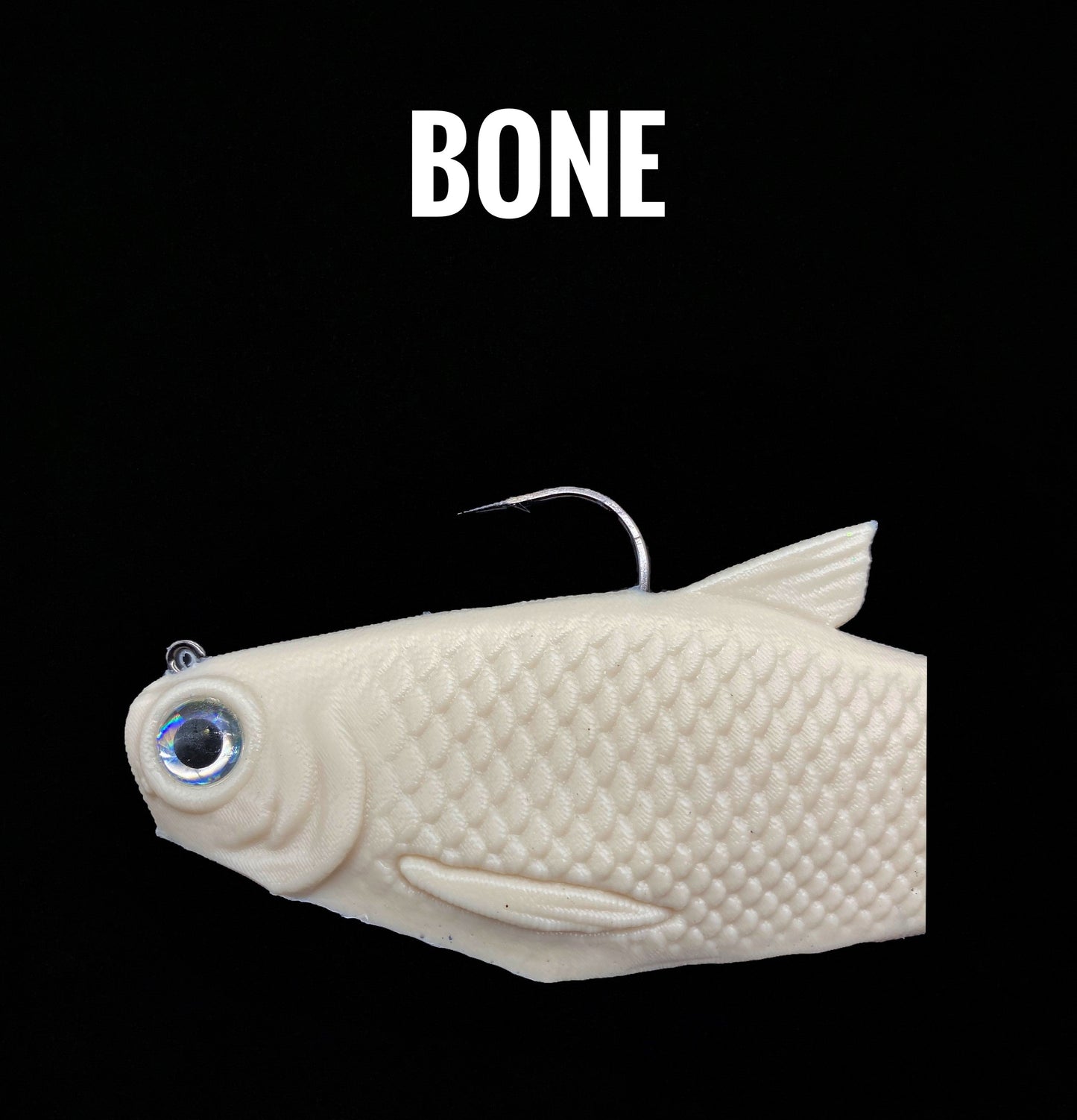 Bacca Burrito boot-tail soft swimbait white Bull Shad Swimbaits fishing lure on Tampa Home & Garden Store