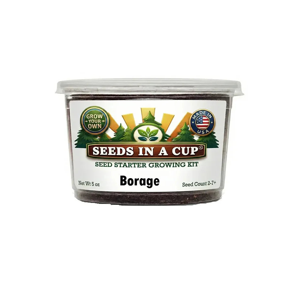 Borage Seed Grow Kit - Tampa Home & Garden Store