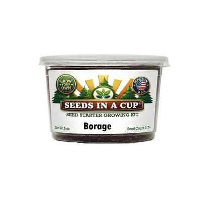 Borage Seed Grow Kit - Tampa Home & Garden Store