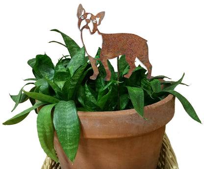 Boston Terrier plant stake in rusted metal silhouette by Rustica Ornamentals on Tampa Home & Garden Store