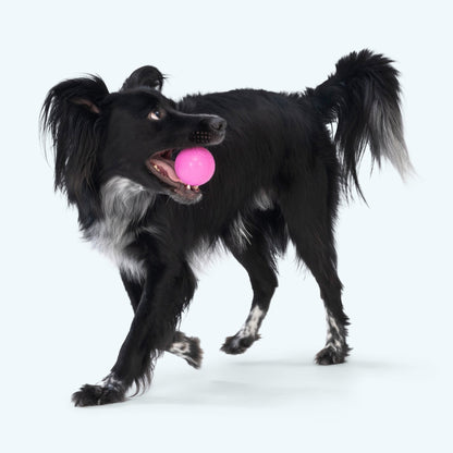 Boundr Active Dog Ball for Chewers and Fetch