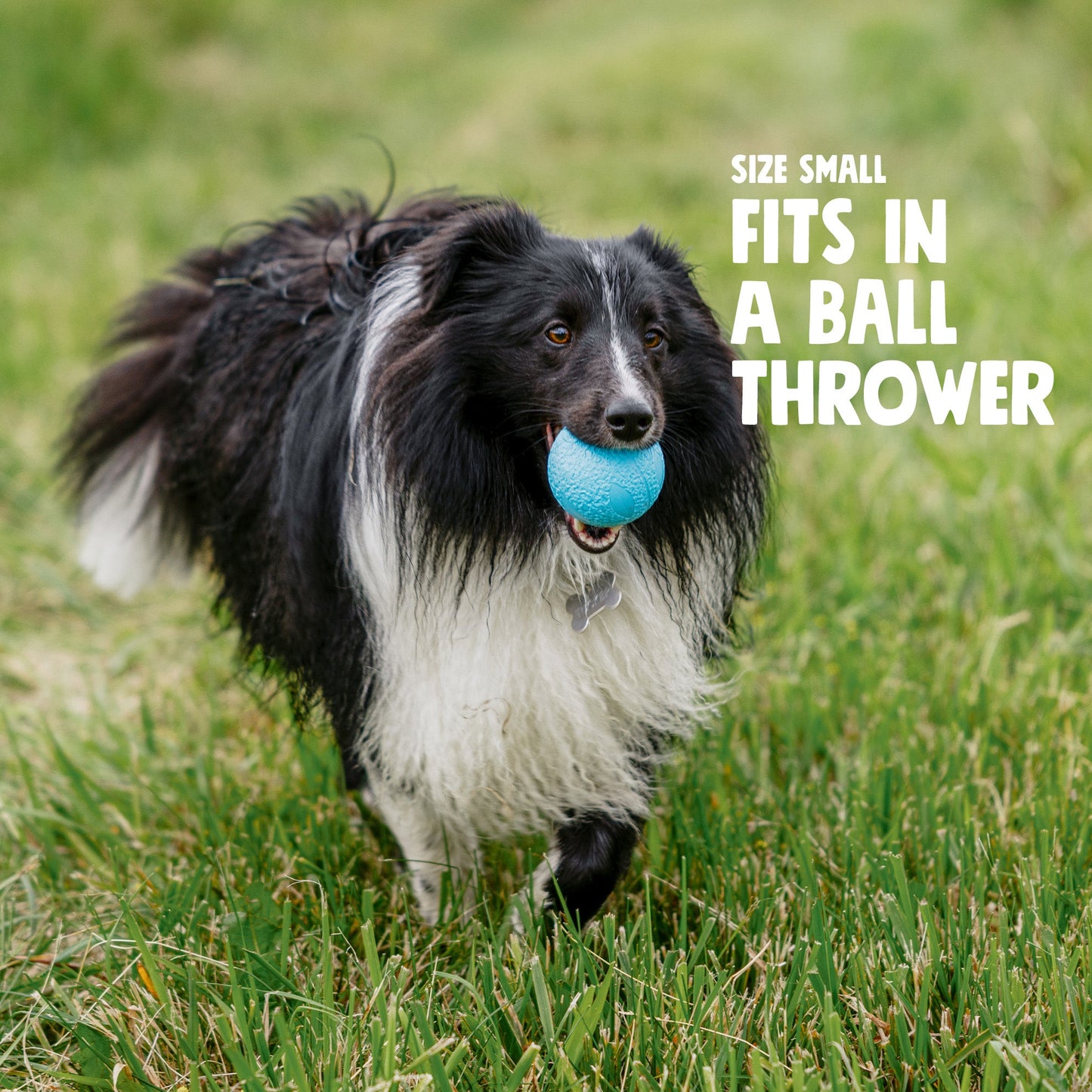 Boundr Active Dog Ball for Chewers and Fetch
