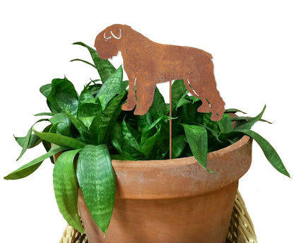 Bouvier Des Flandres plant stake rust metal silhouette Rustica Ornamentals in terracotta pot on Tampa Home & Garden Store