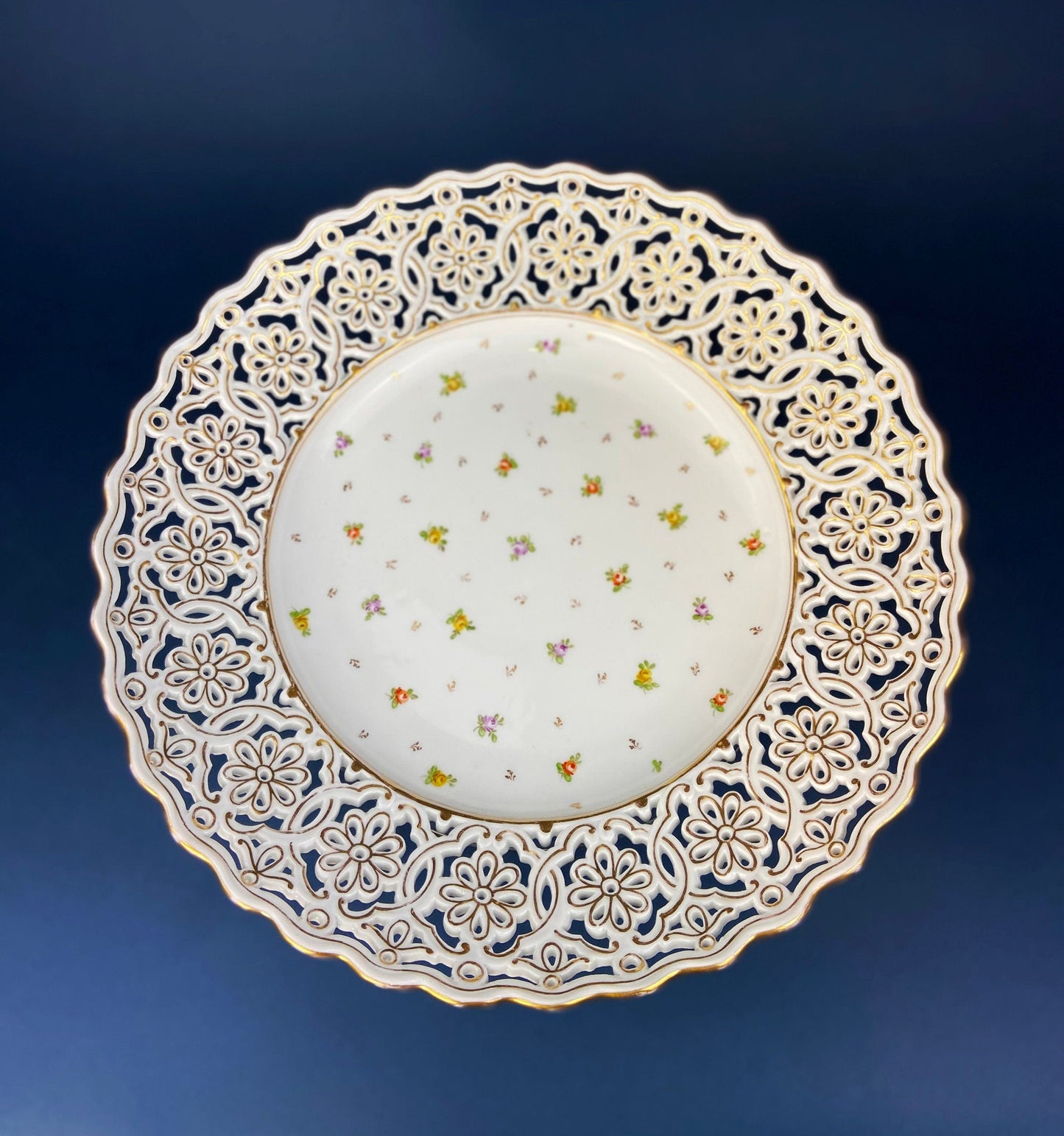 Bowl. Antique Porcelain Bowl by RS Prussia. Hand Painted Fine Porcelain Bowl with Wild Roses. Embossed Decoration, Scalloped Rim. - Tampa Home & Garden Store