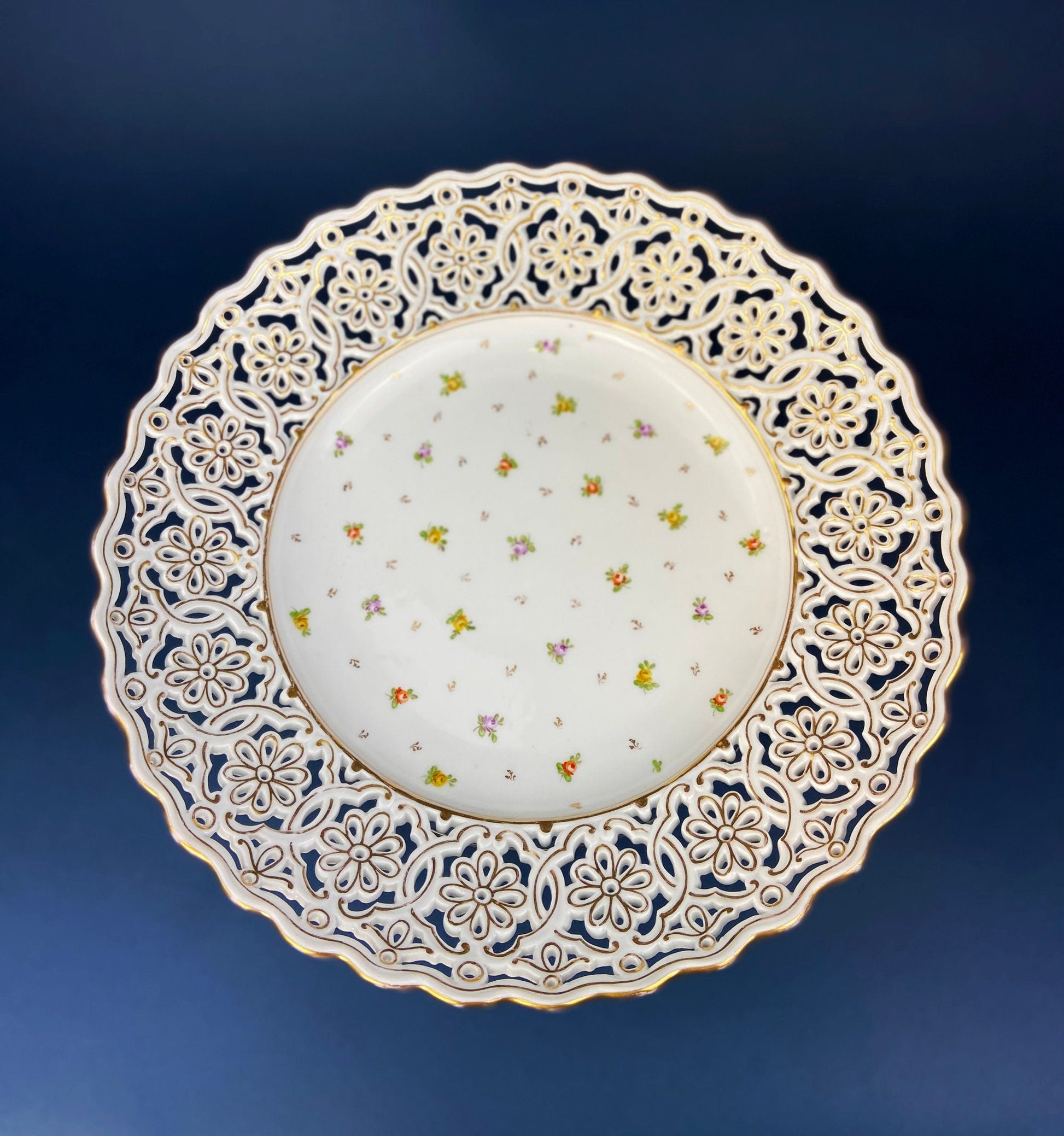 Bowl. Antique Porcelain Bowl by RS Prussia. Hand Painted Fine Porcelain Bowl with Wild Roses. Embossed Decoration, Scalloped Rim. - Tampa Home & Garden Store