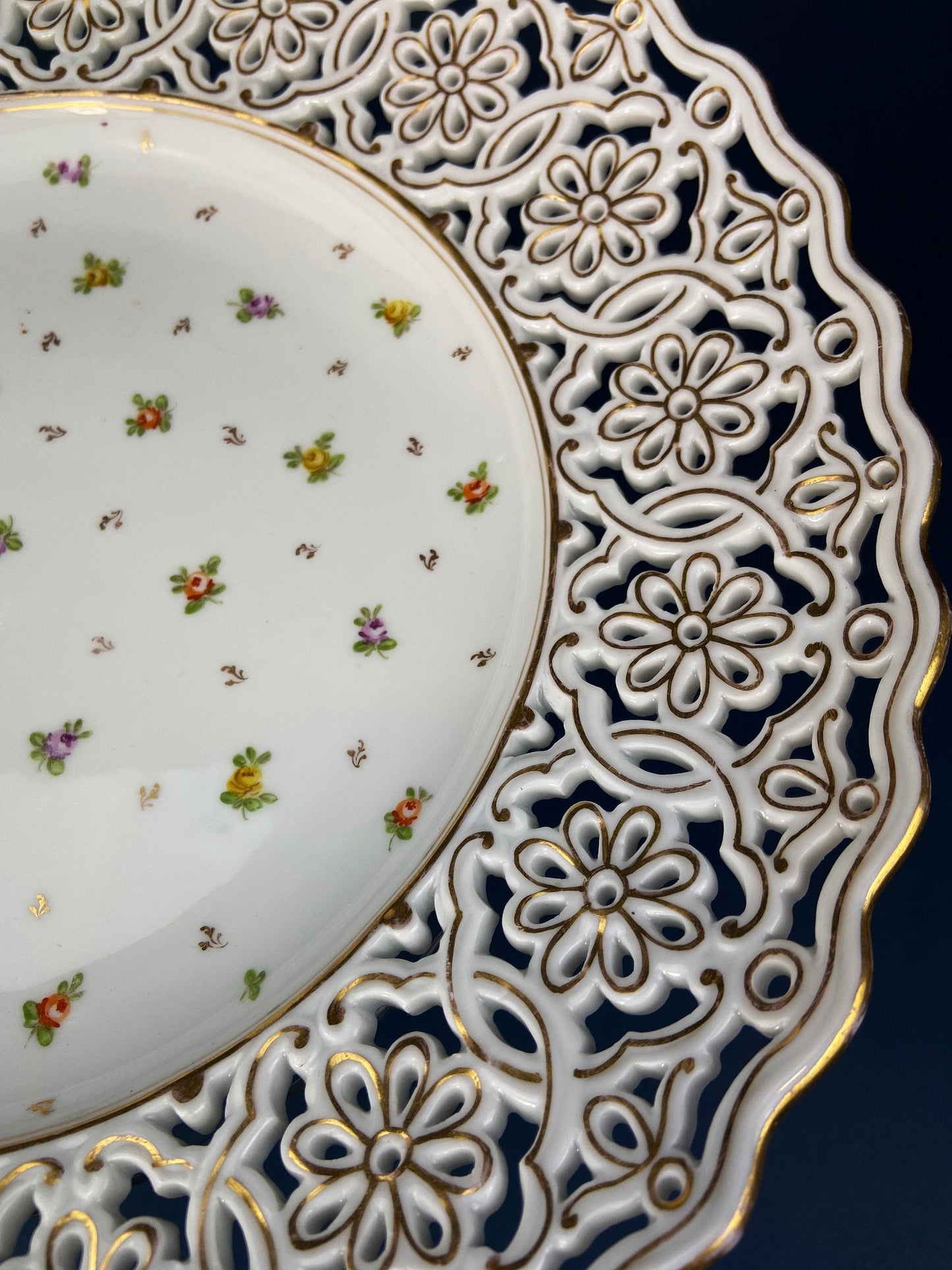 Bowl. Antique Porcelain Bowl by RS Prussia. Hand Painted Fine Porcelain Bowl with Wild Roses. Embossed Decoration, Scalloped Rim. - Tampa Home & Garden Store